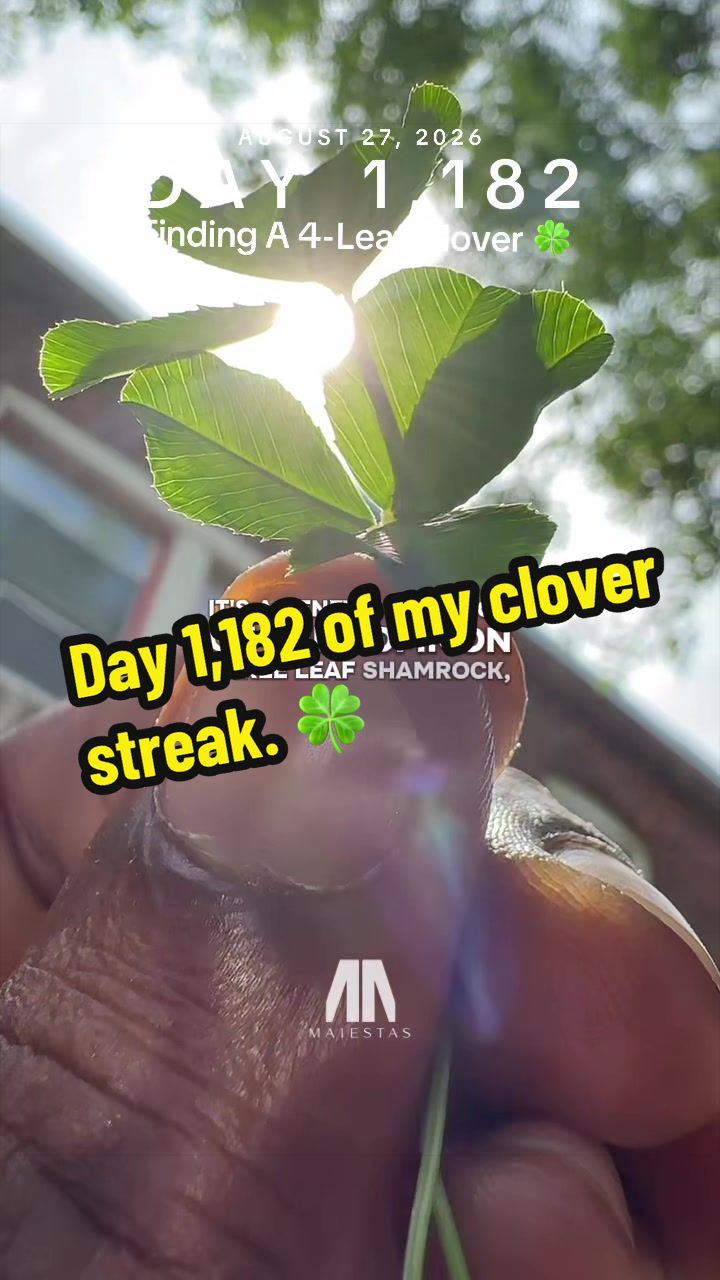 @NomadMrMurkCity