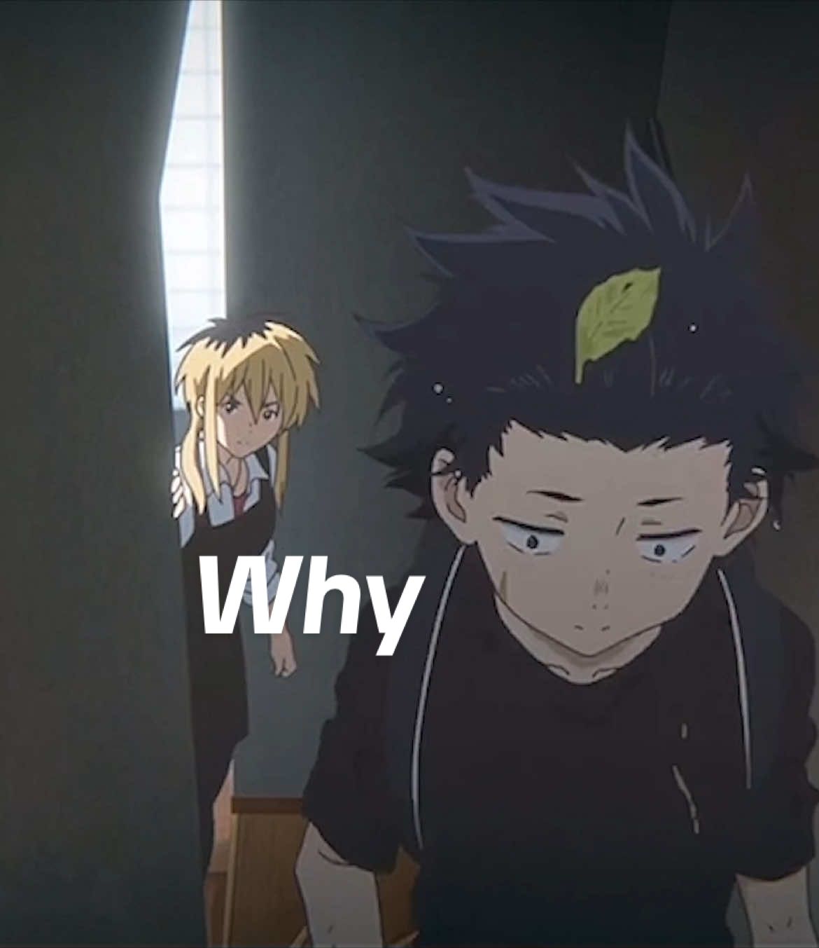 @Shy