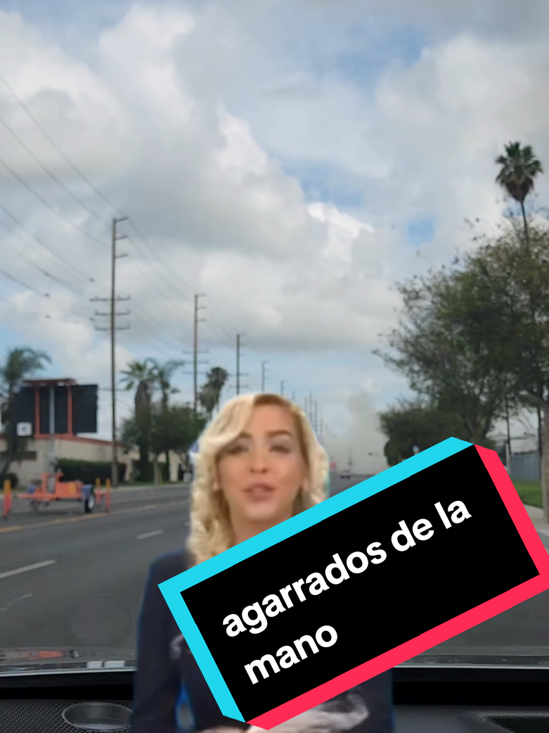 @magda