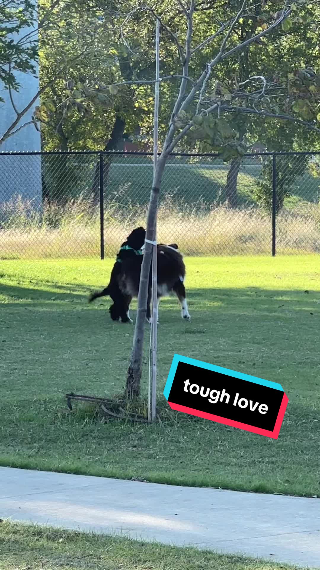 @Log