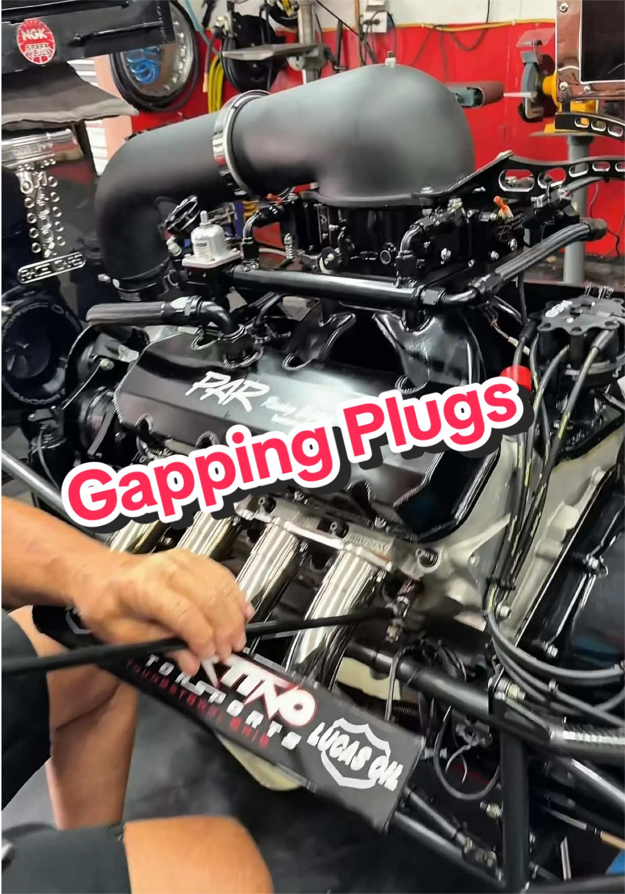 @Martino Motorsports