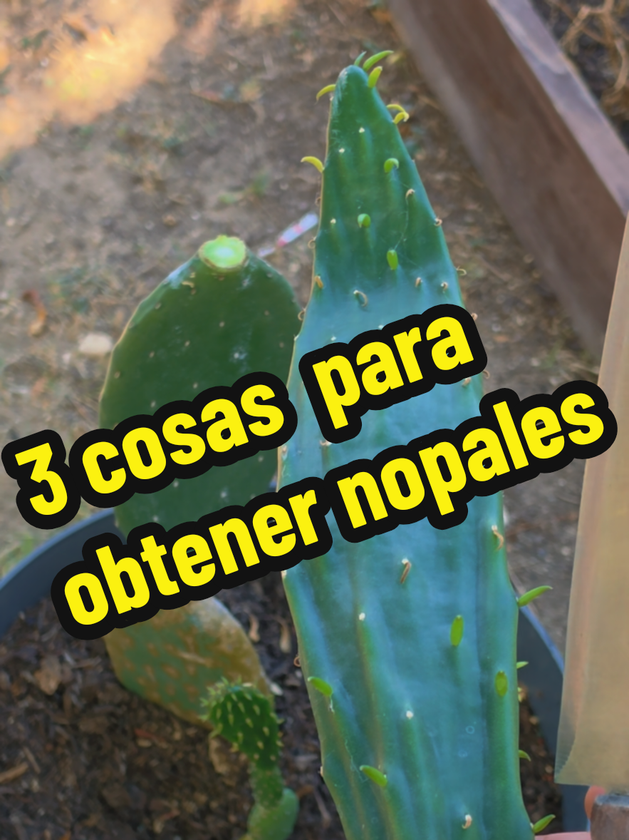 @Mi Rincón Favorito