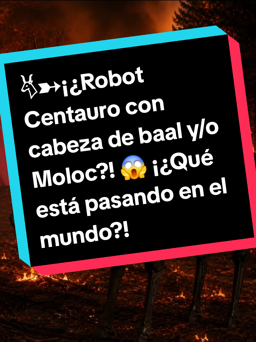 @Miguel Sánchez Ávila
