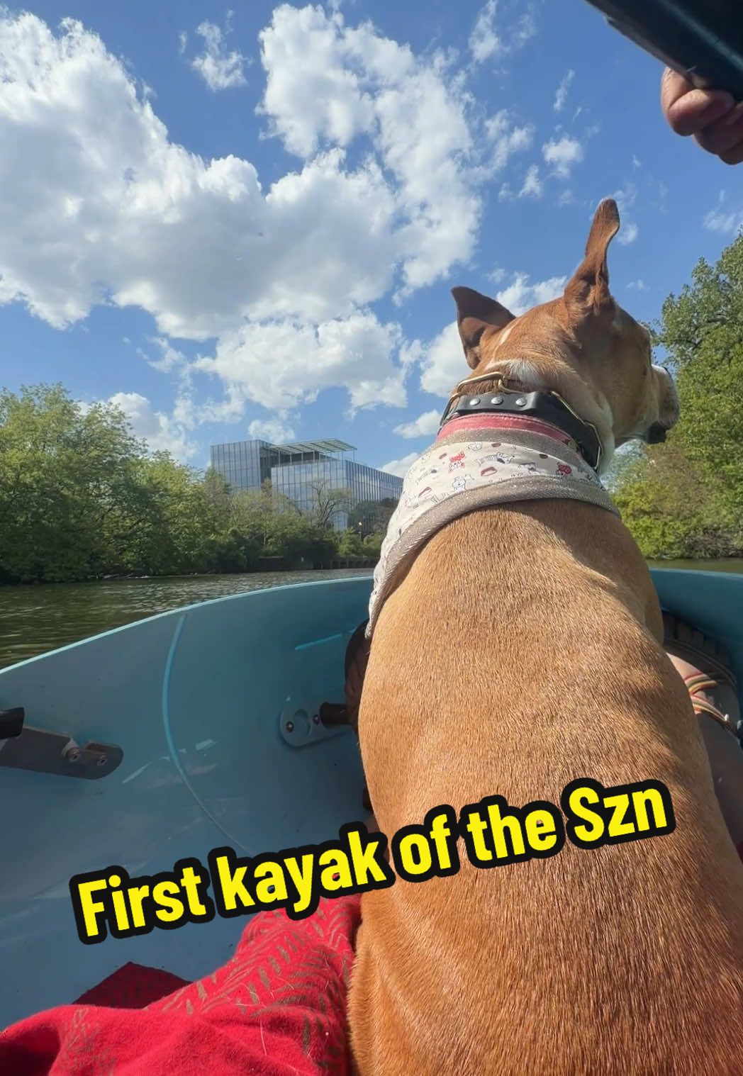 @dogstrainjen