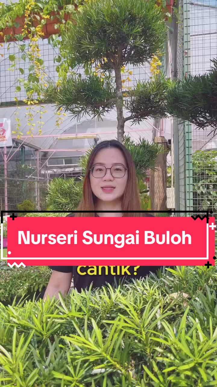 @Fang Kiat Florist Sg Buloh