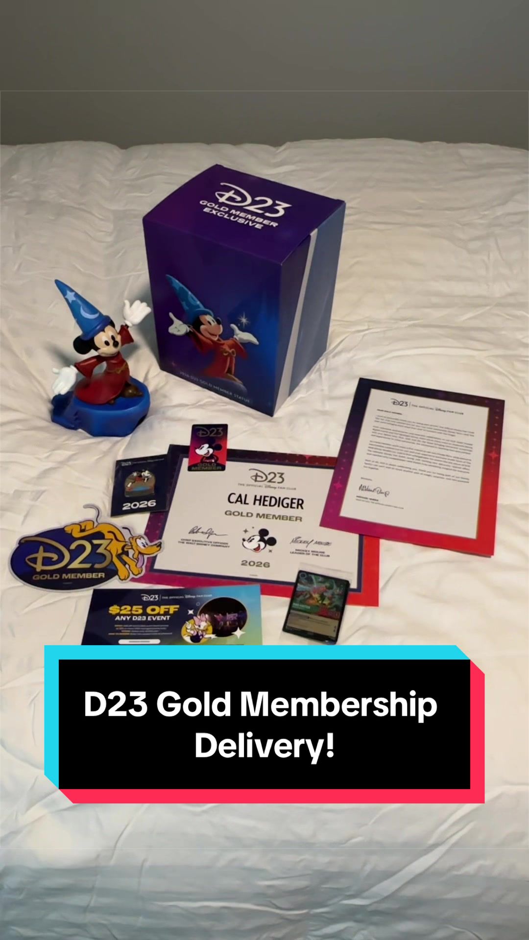 @CallionDisney