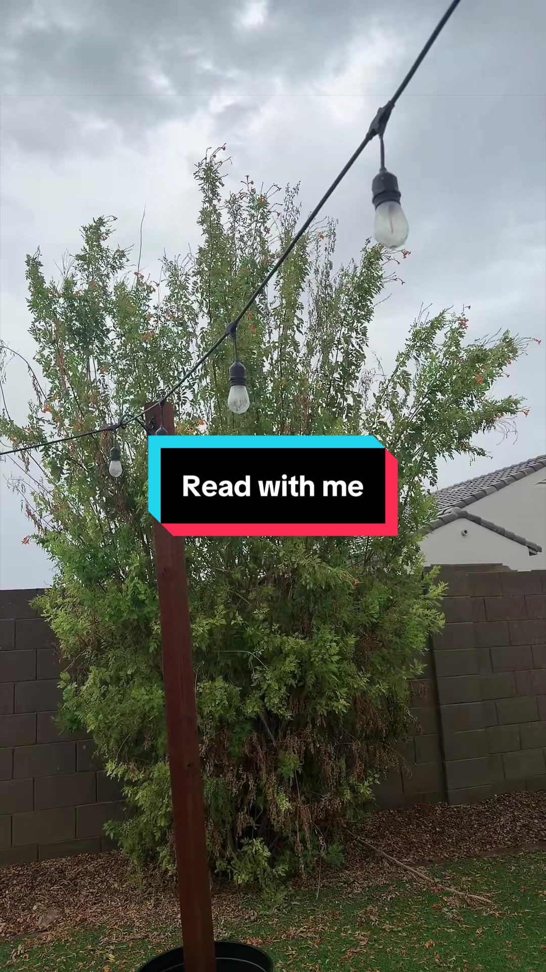 @Ashleigh | Booktok 📖🦋✨