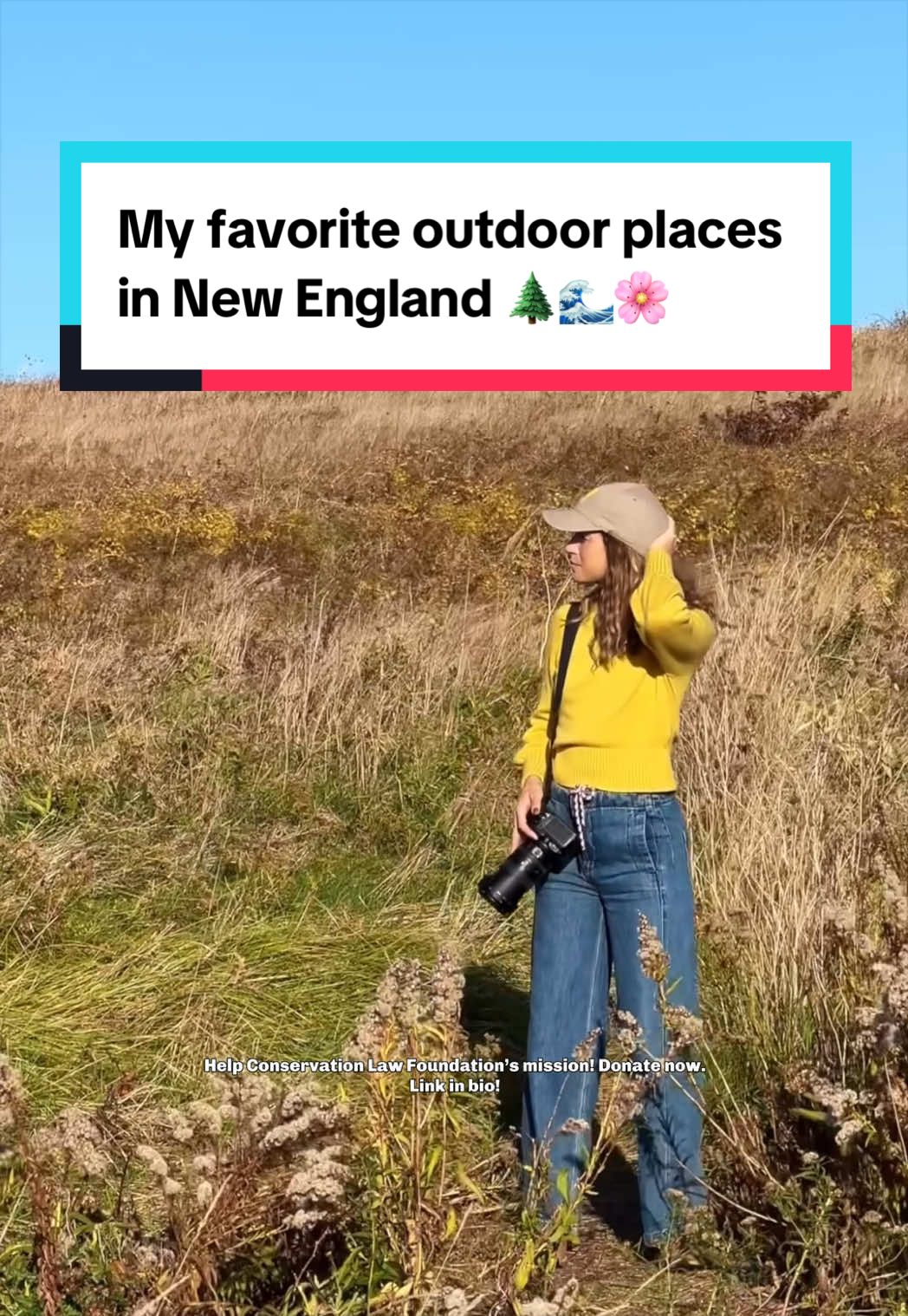 @alainapinto