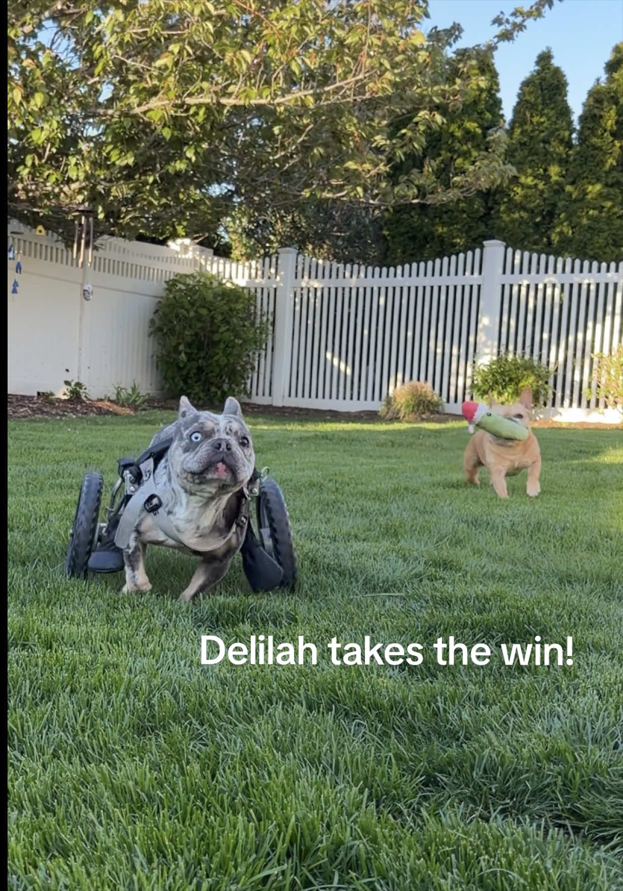 @delilahbean
