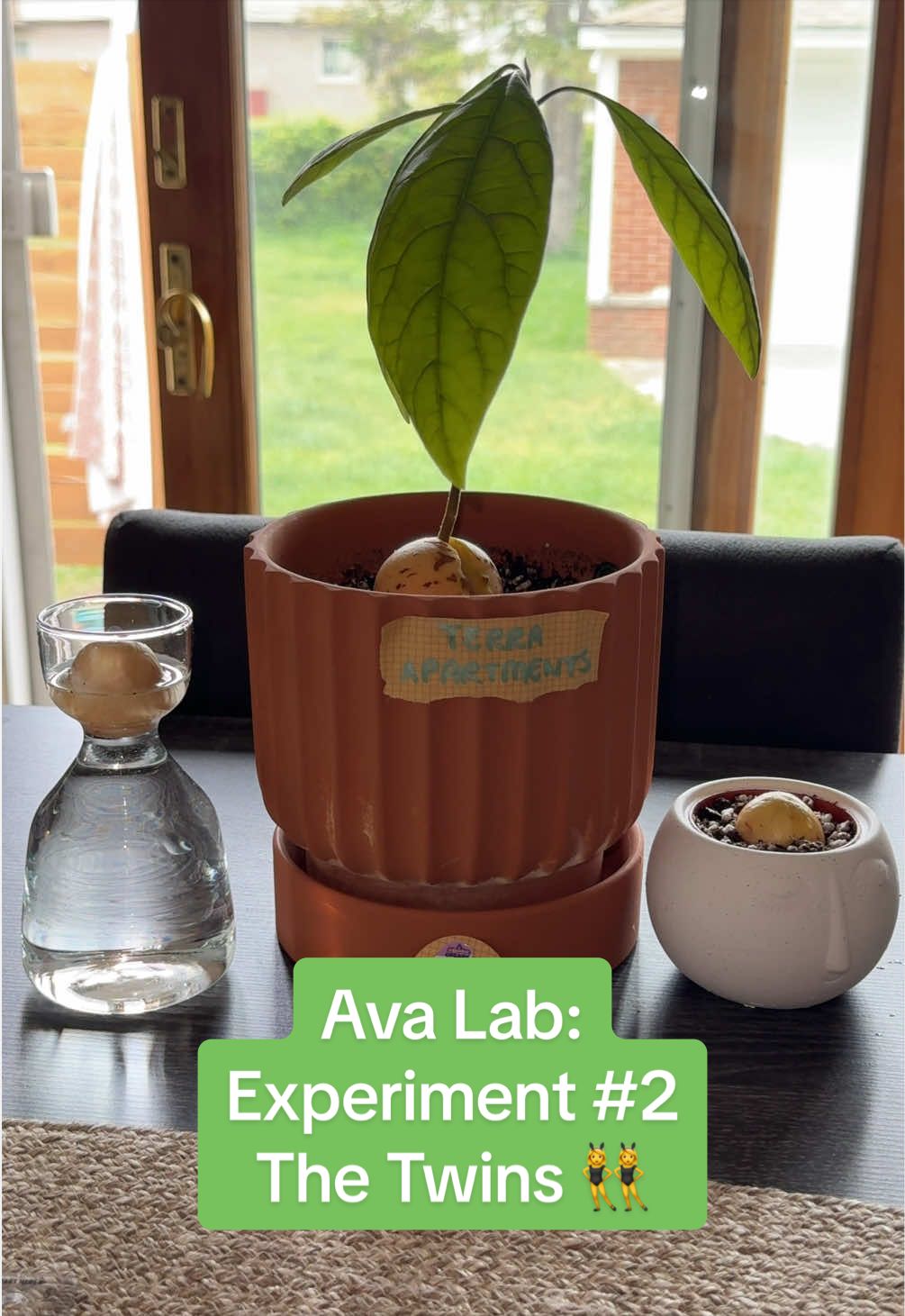 @Niki - Ava&rsquo;s Mom 🥑🌱