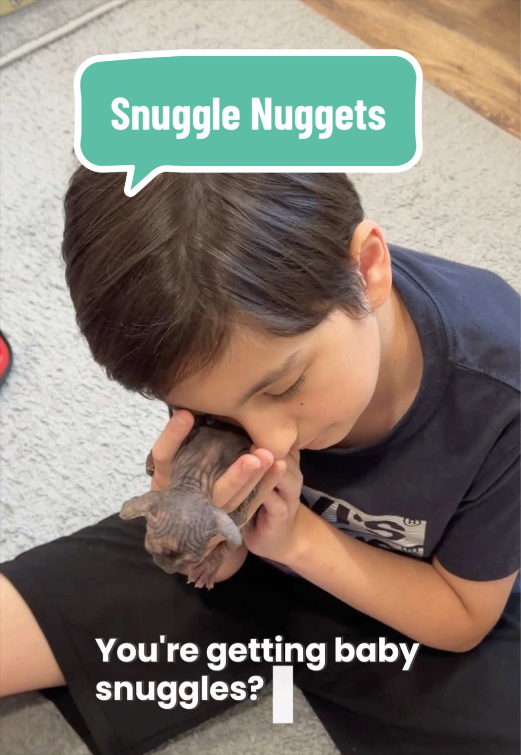 @Boba’s Buds Minskin Cats