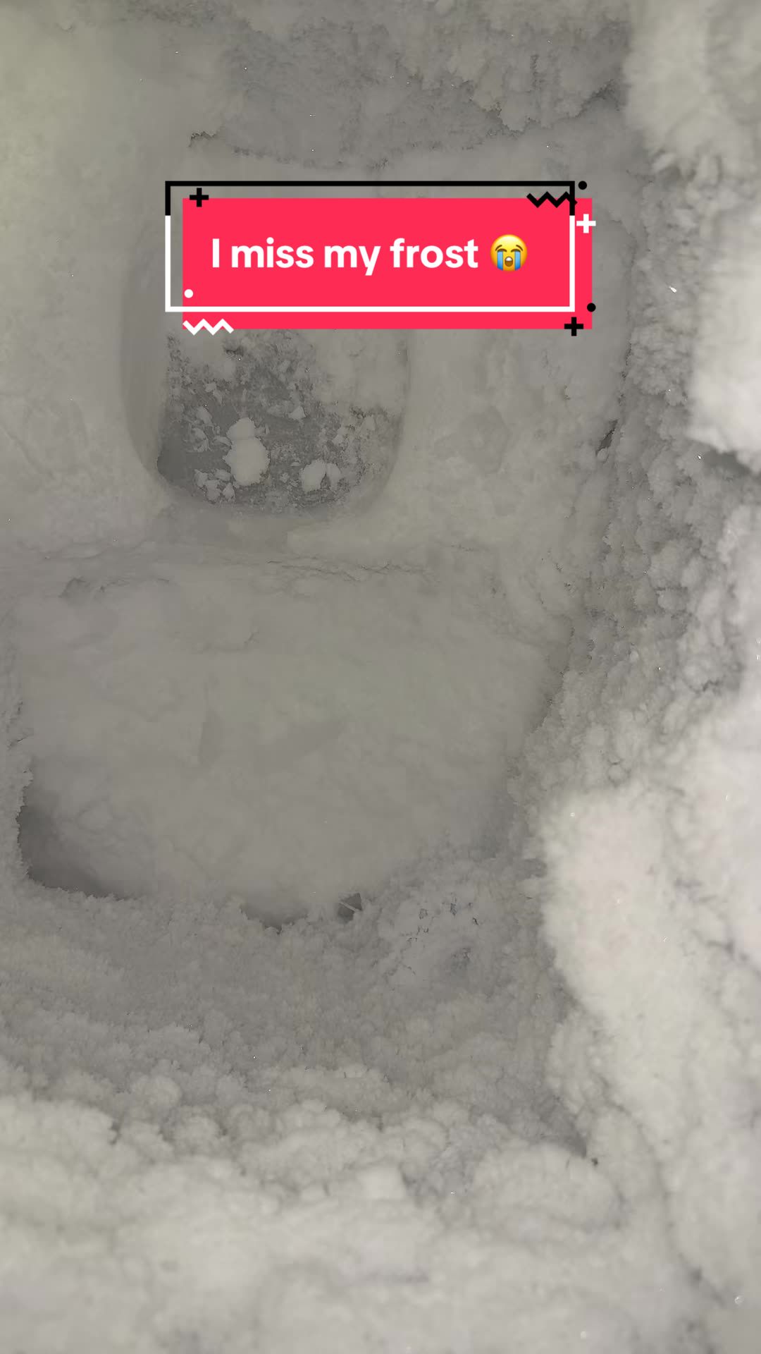 @❄️🥶 FreezerFreak 🥶❄️