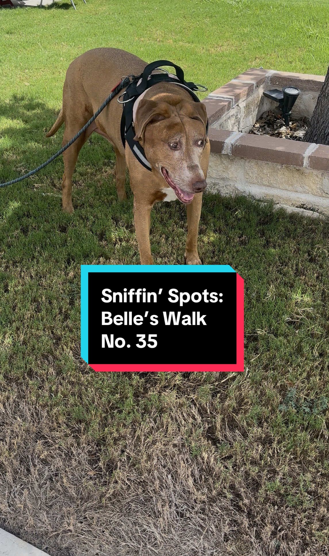 @Belle O’Neill
