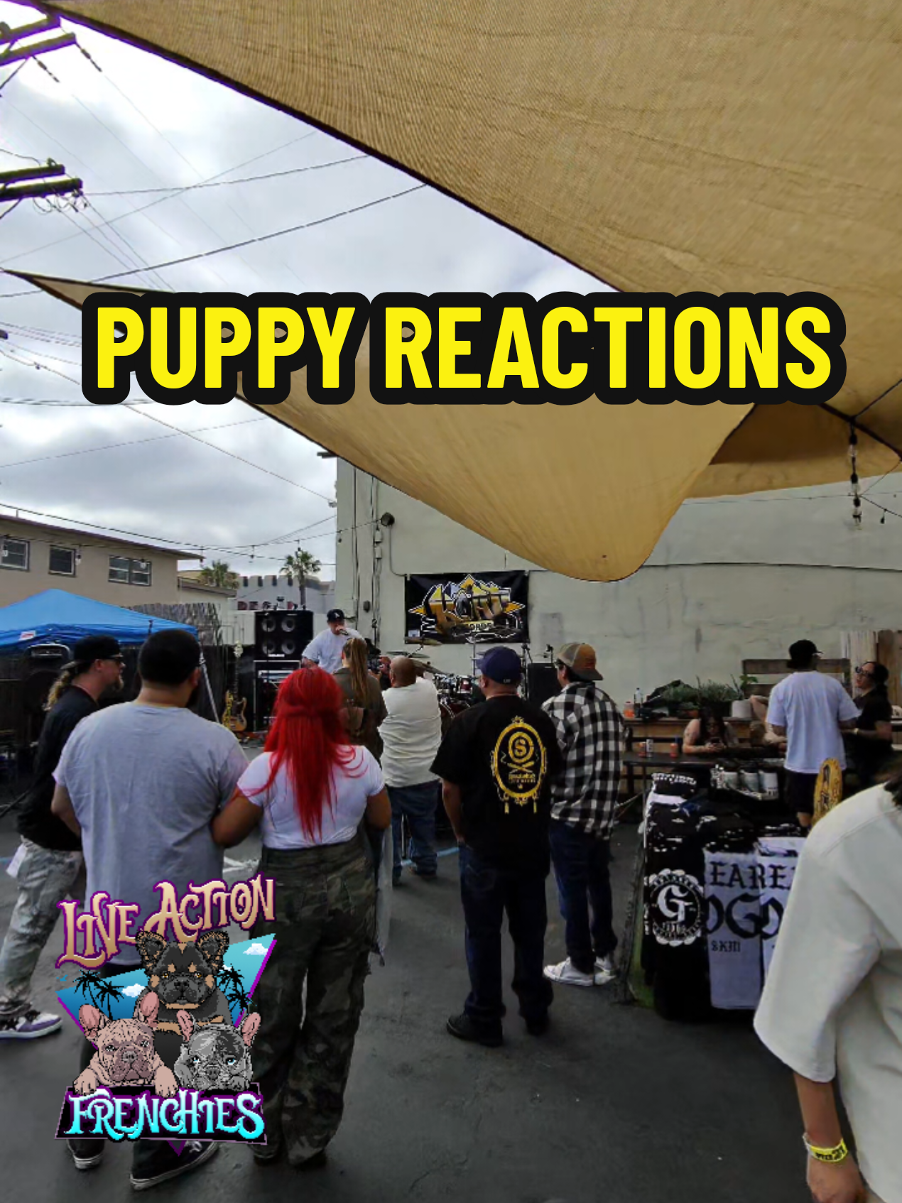 @Live Action Hype Shop