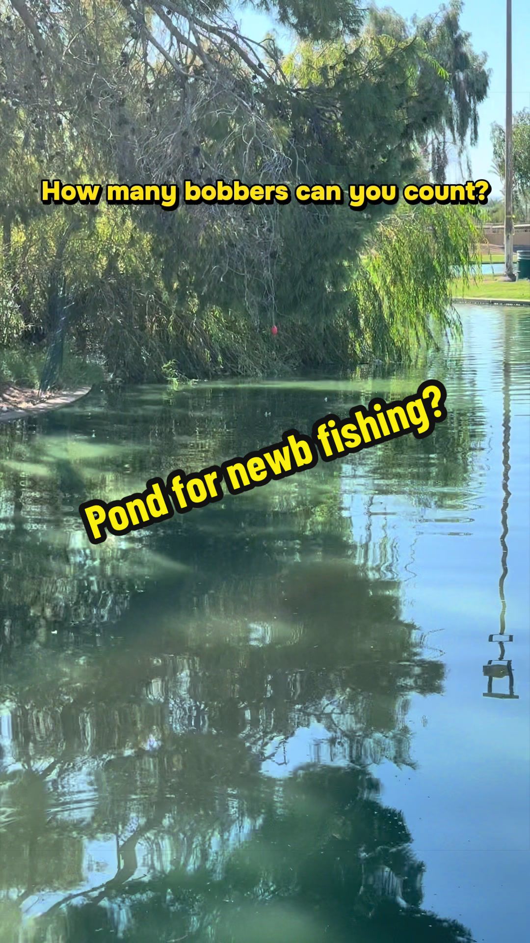 @Luu Nguyen Fishing
