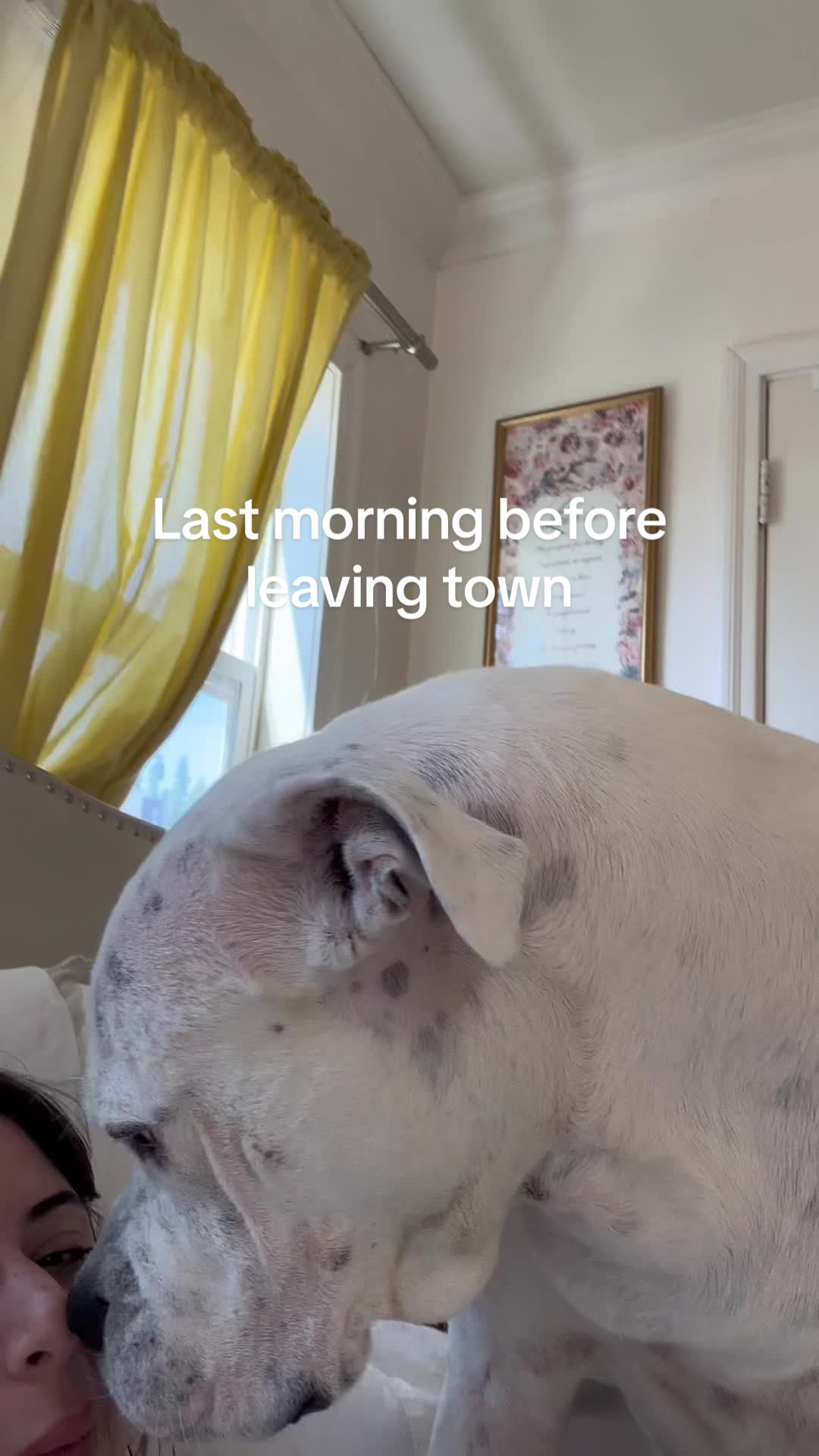 @bo