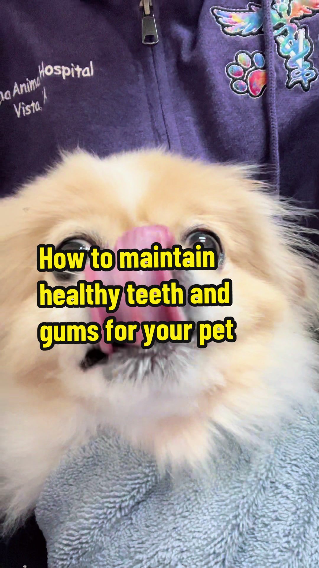 @Elite Pet Dental