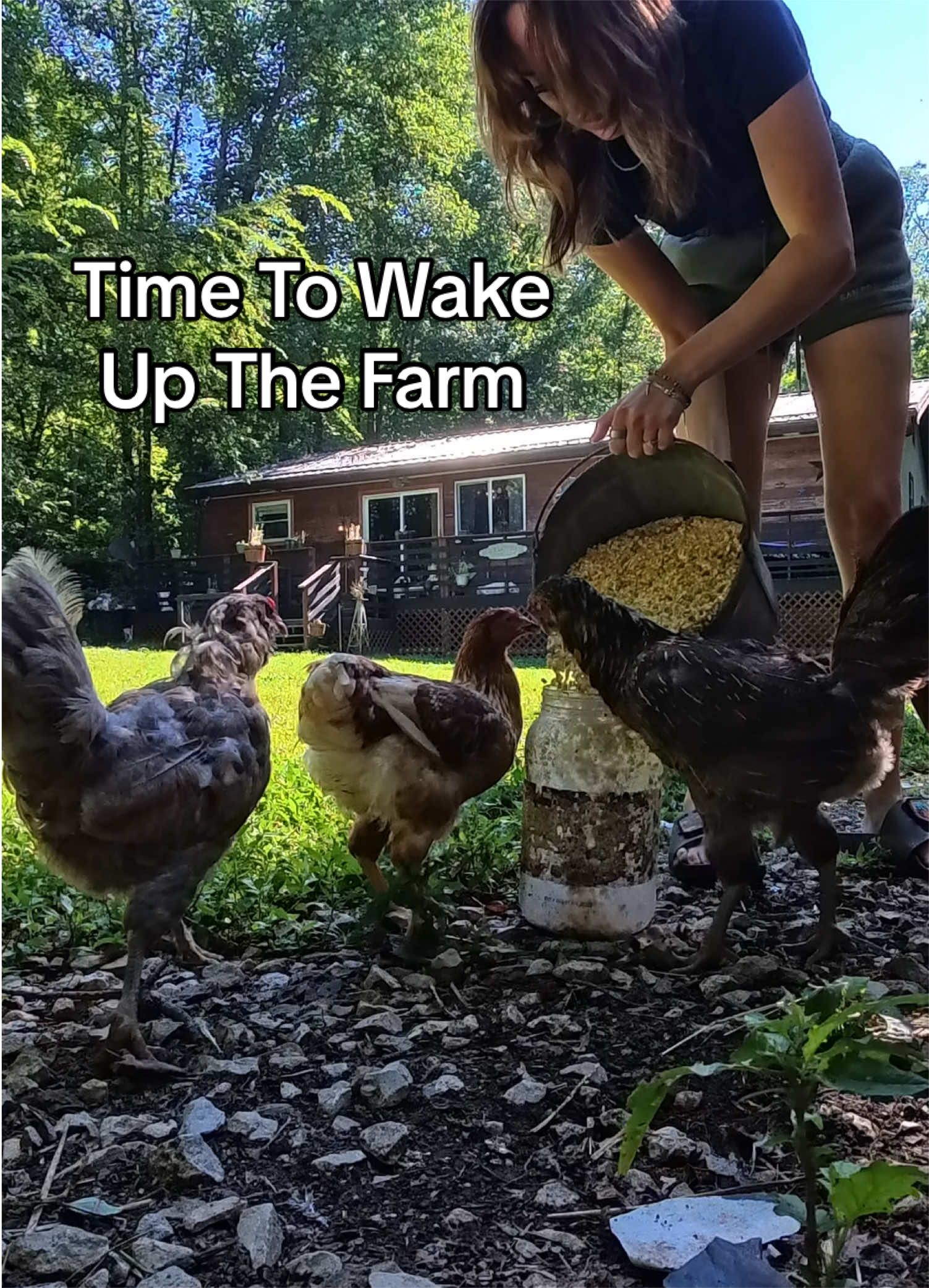 @Haley The Homesteader