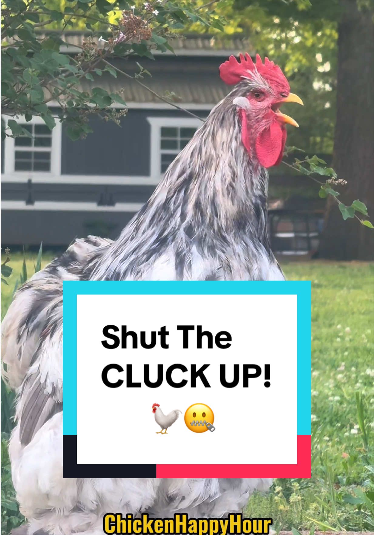 @Chicken Happy Hour