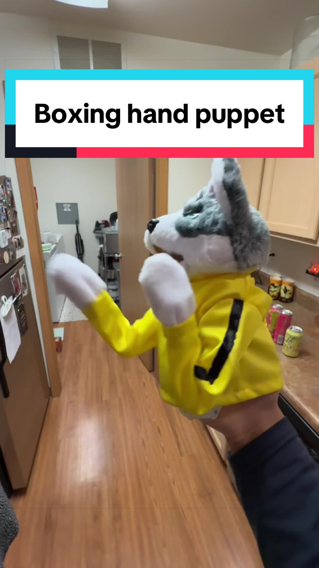 @trendytokshopp
