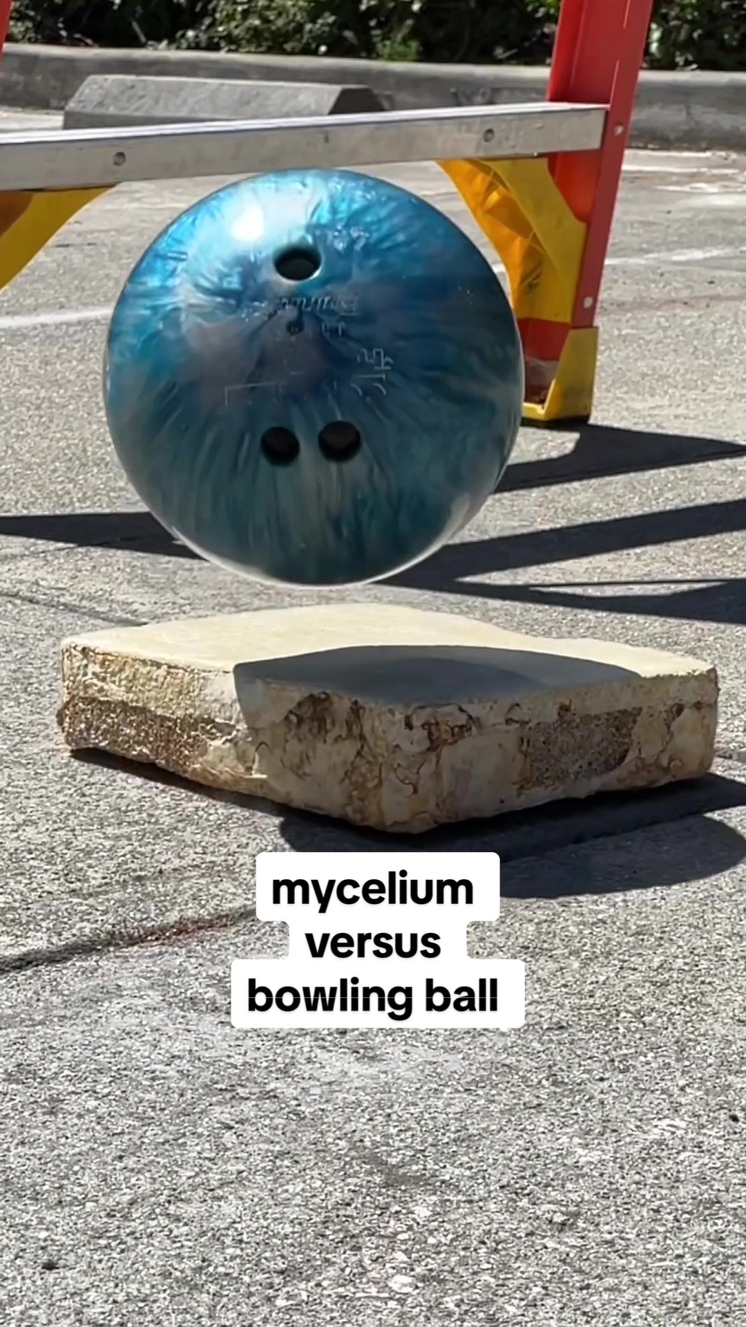 @MycoWorks