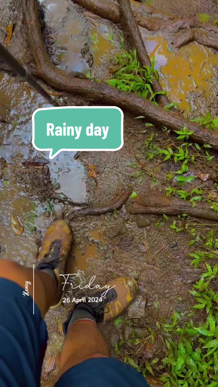 @Hawaii tiktok