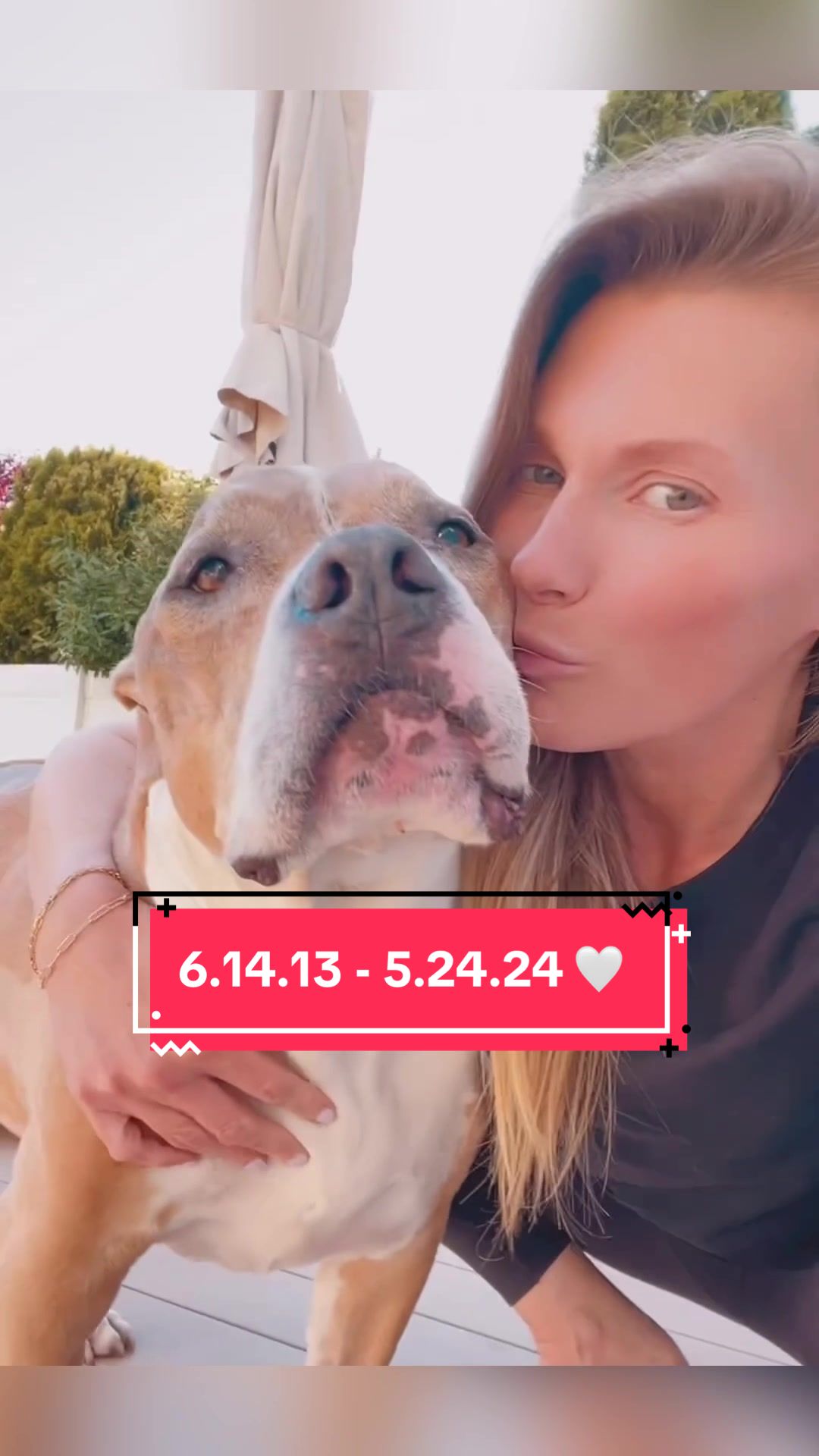 @LilyBug