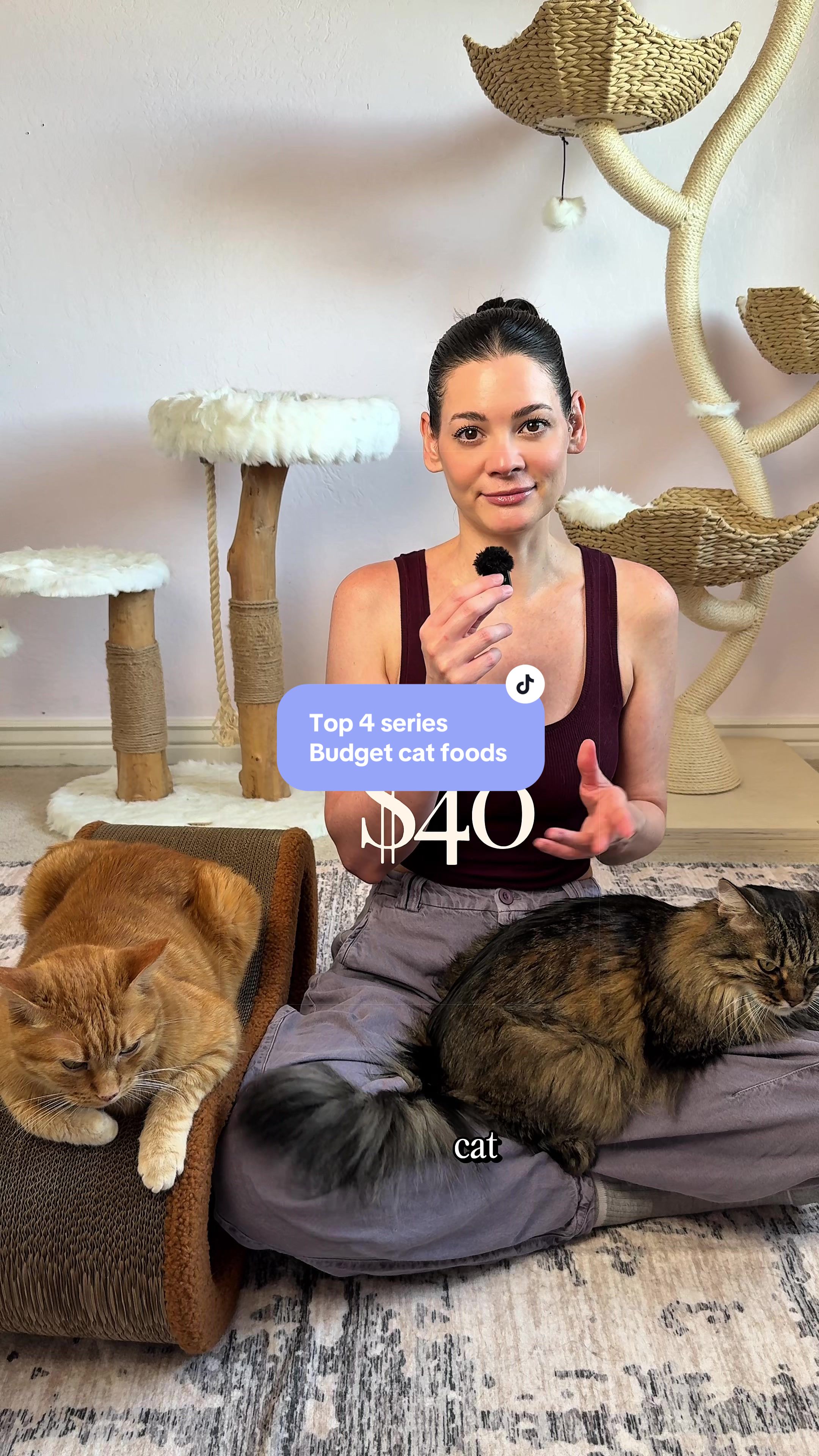 @Feminist Kitty | Cat Nutrition