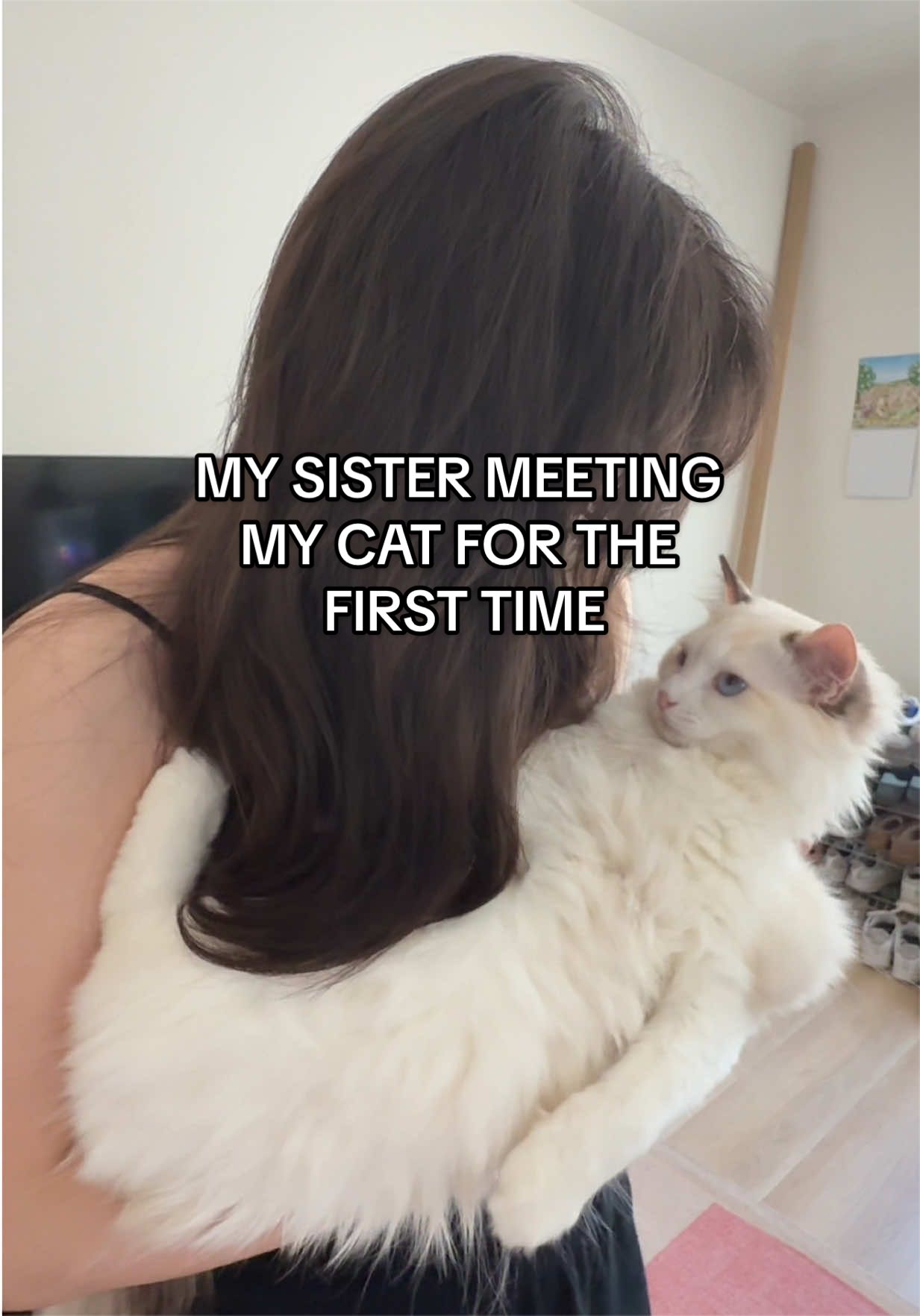 @hnh ✧