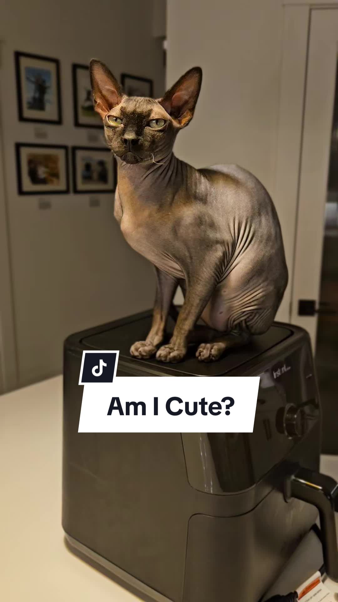 @kyoto.jack.sphynx