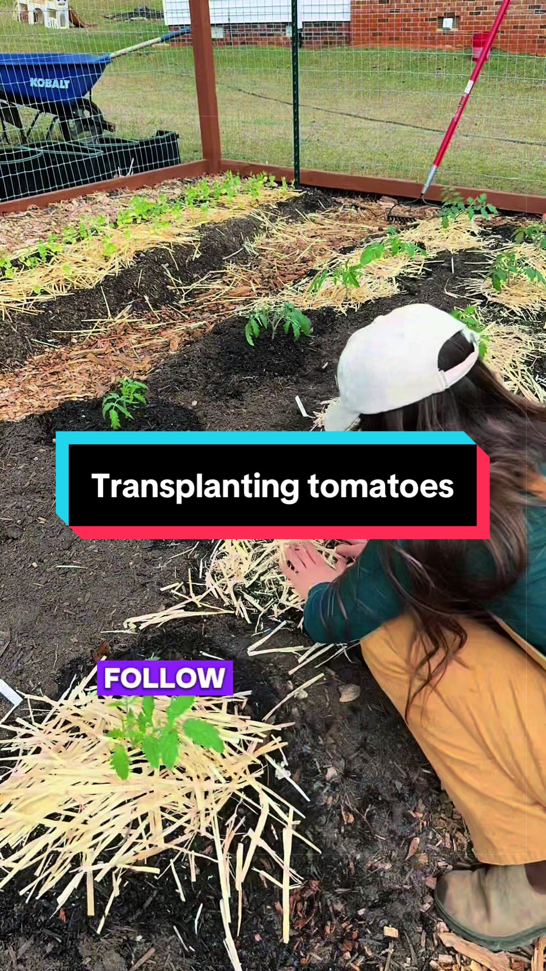 @Kylie | Garden & DIY👩🌾
