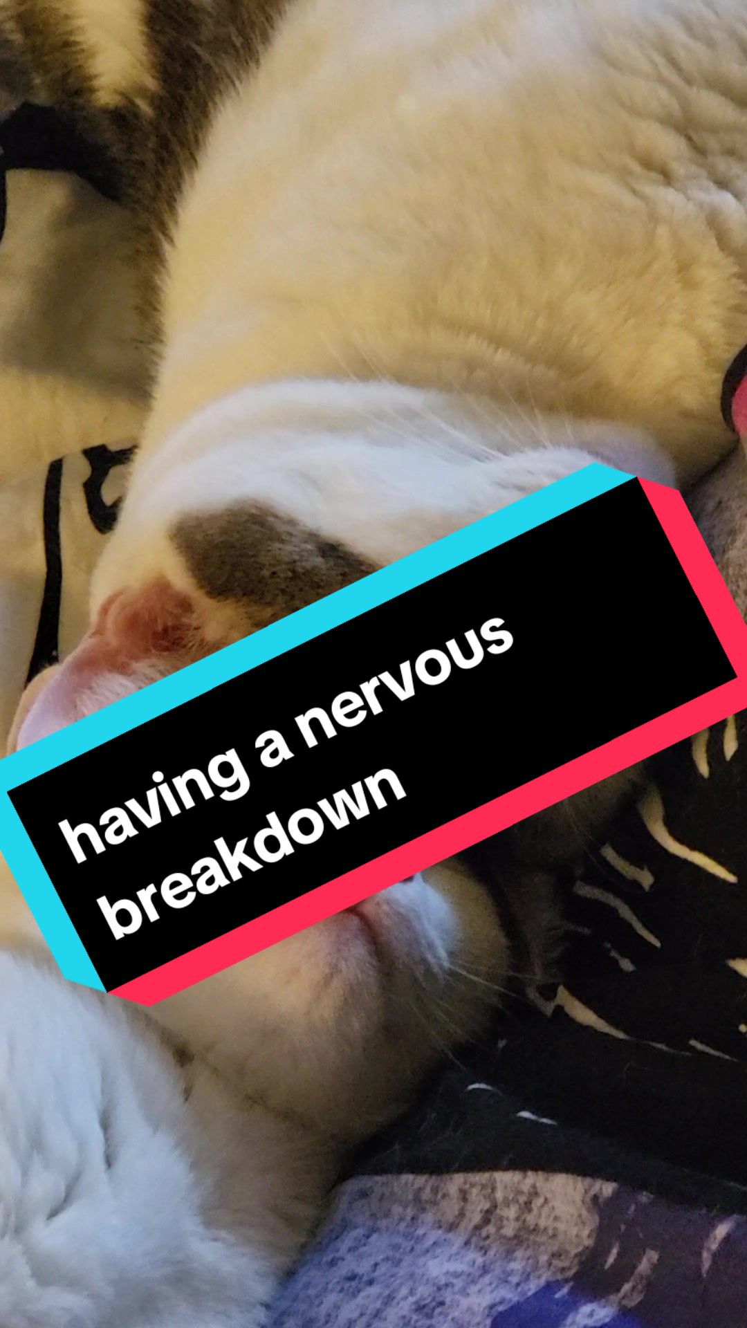 @Kat
