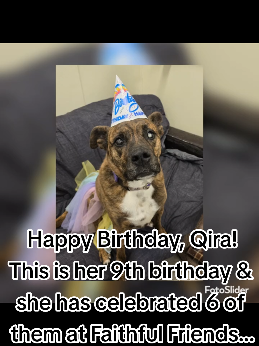 @FaithfulFriendsAnimalAdvocates