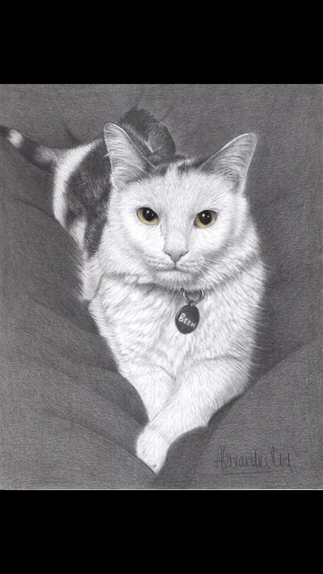 @Paw Prints Pet Art