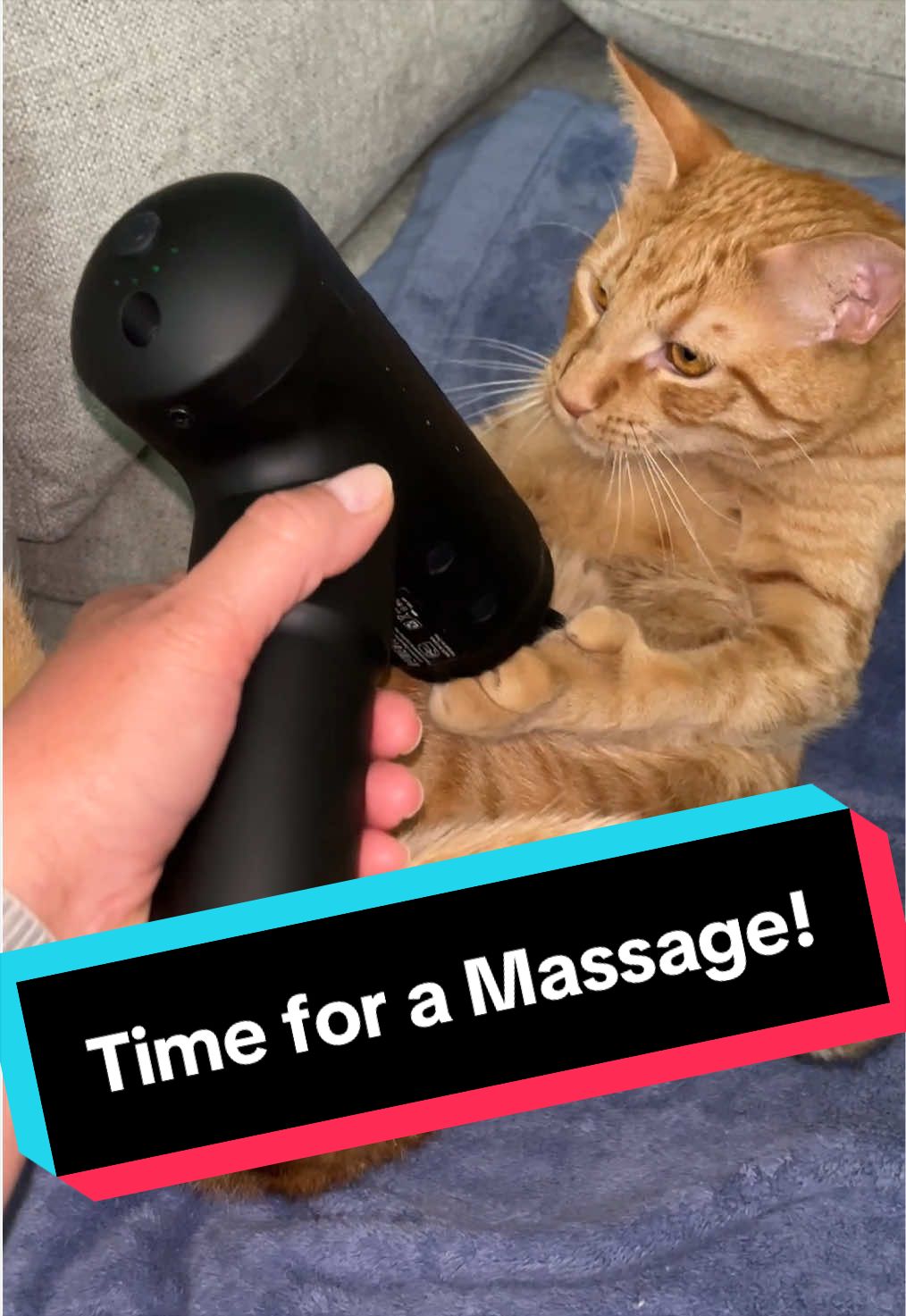 @frankie12fingers