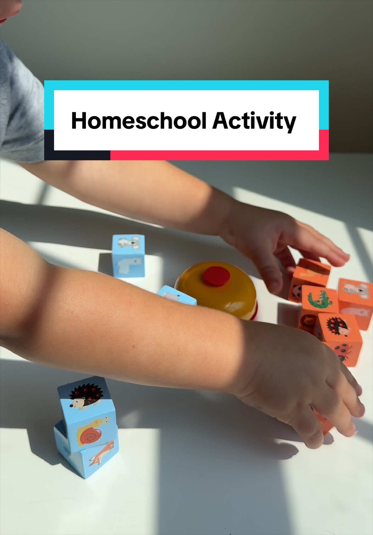 @DANA• MOM + HOME HACKS