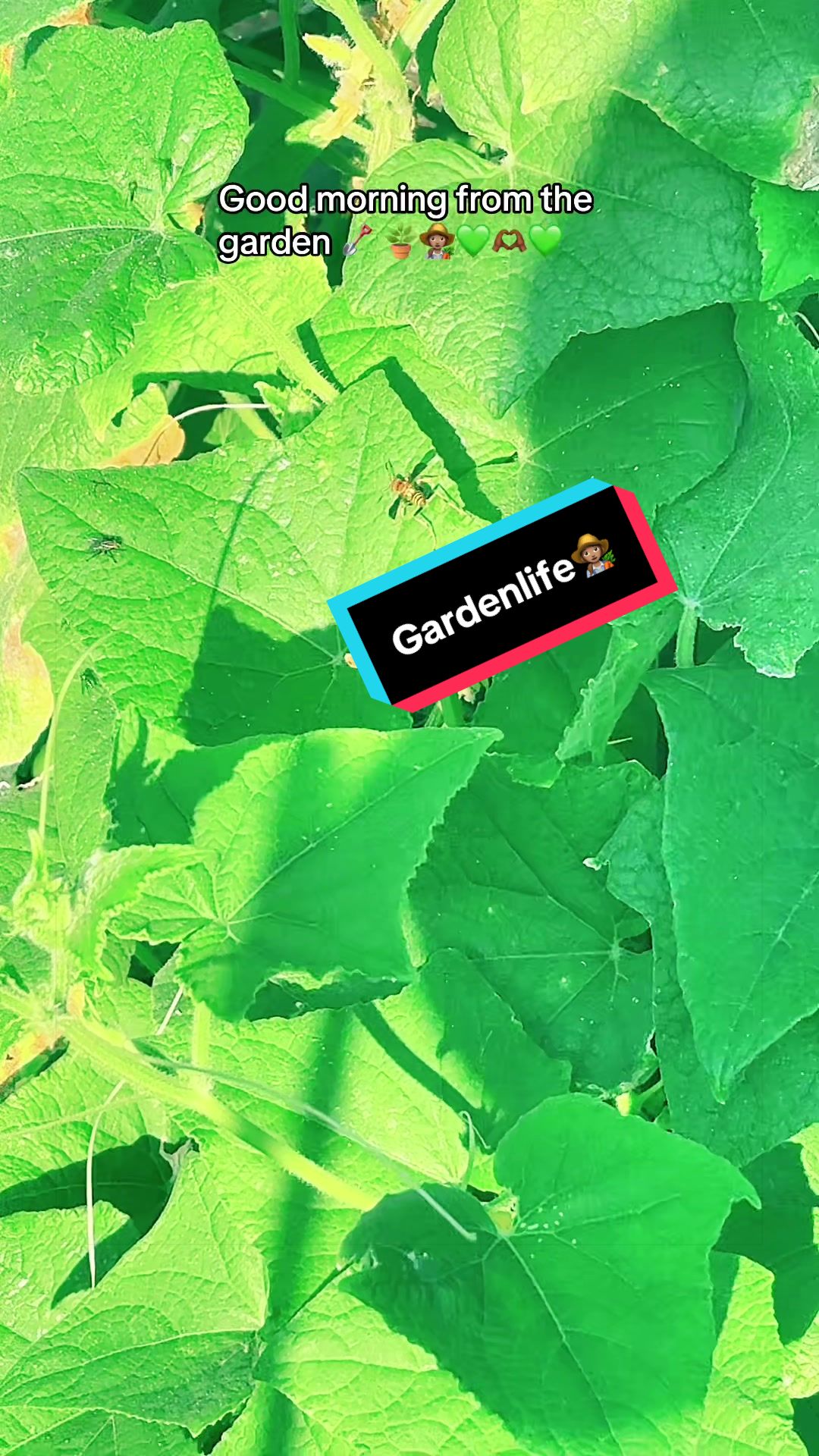 @TeeTee ❌♋️🦀