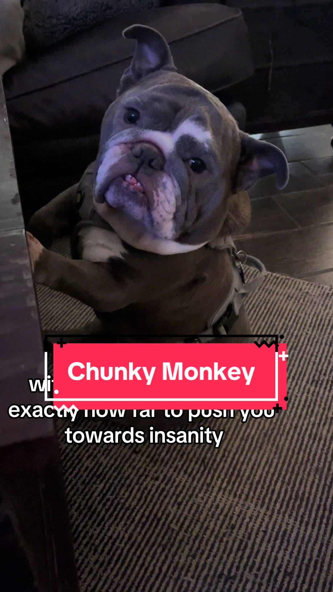 @BullShitzu