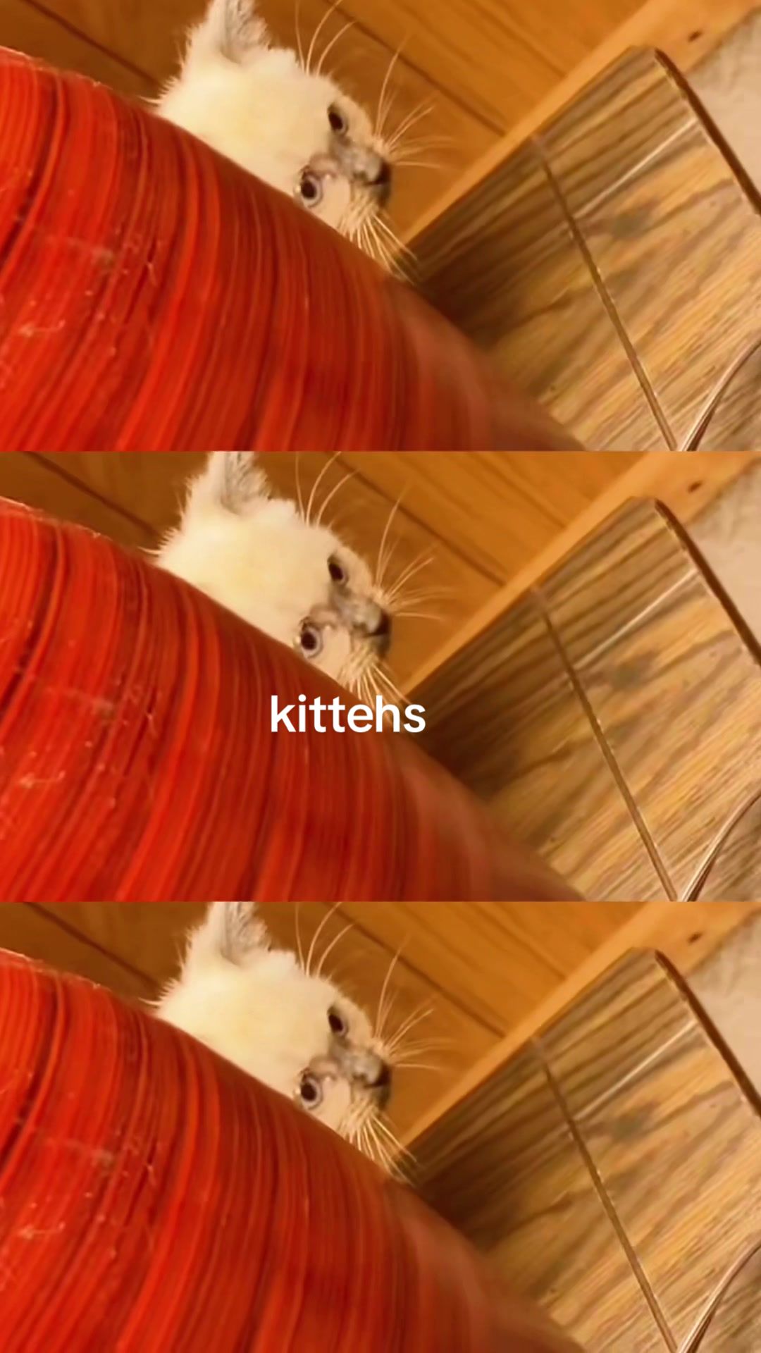 @adampuf