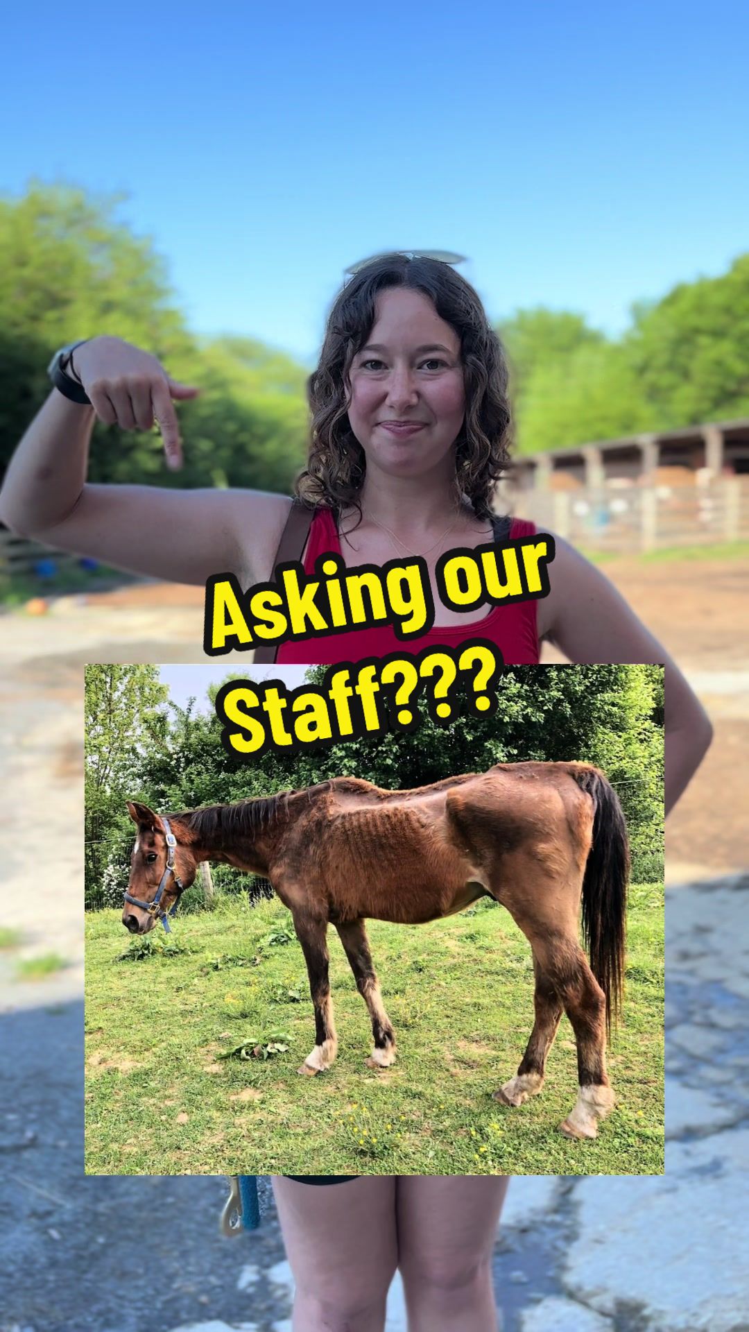 @Days End Farm Horse Rescue