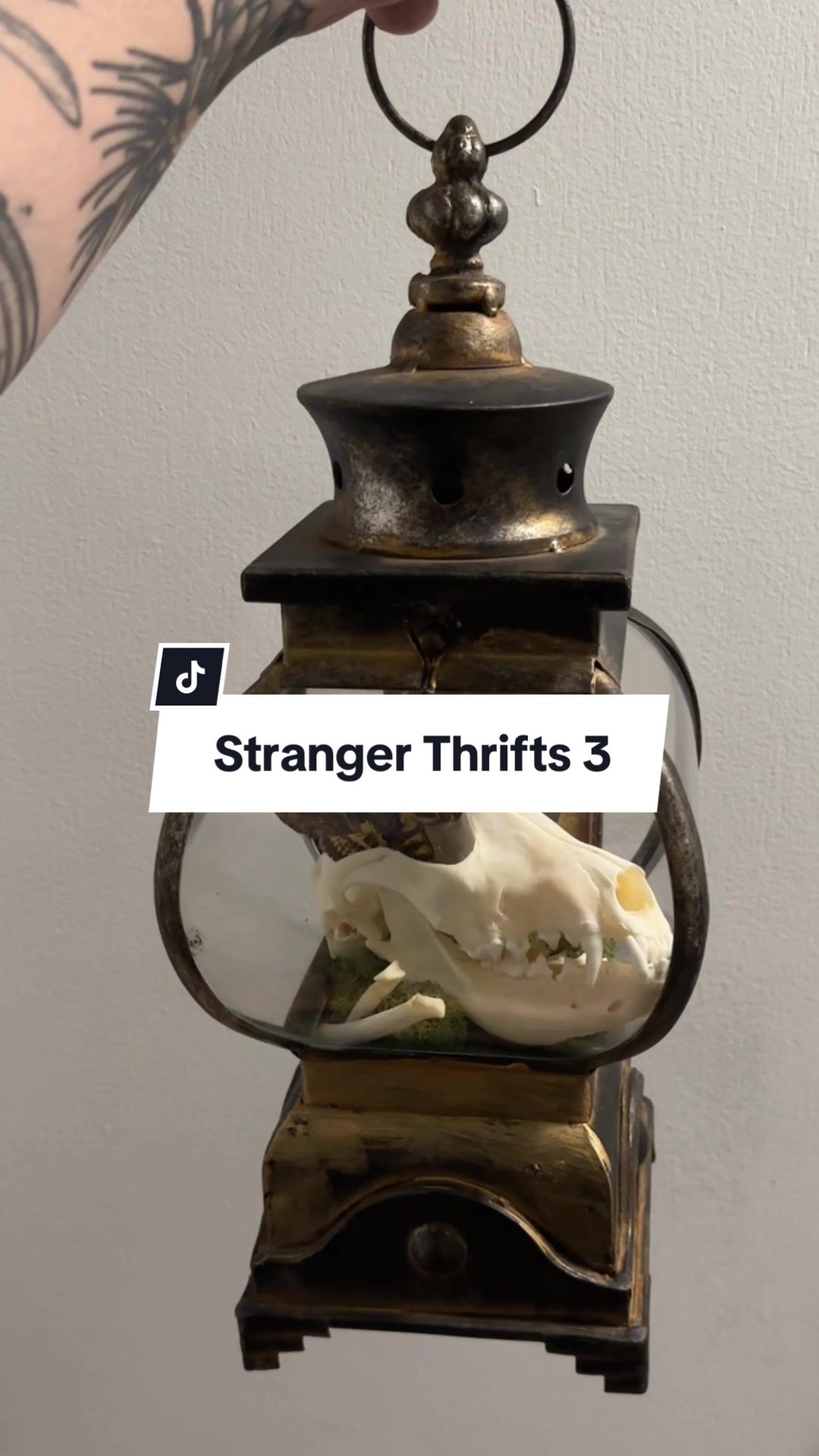 @Heather Skelter