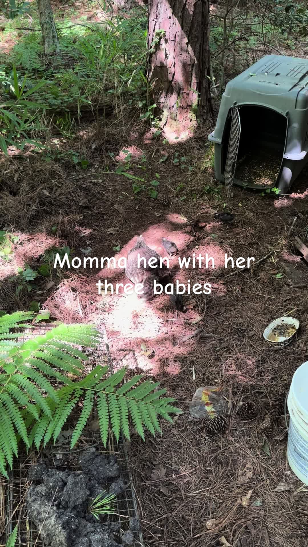 @Grampy