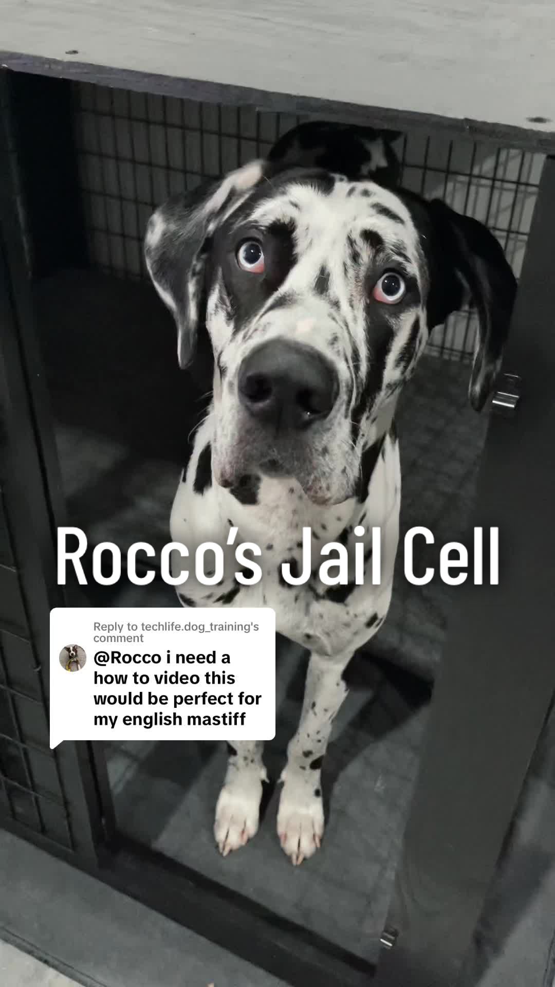 @Rocco