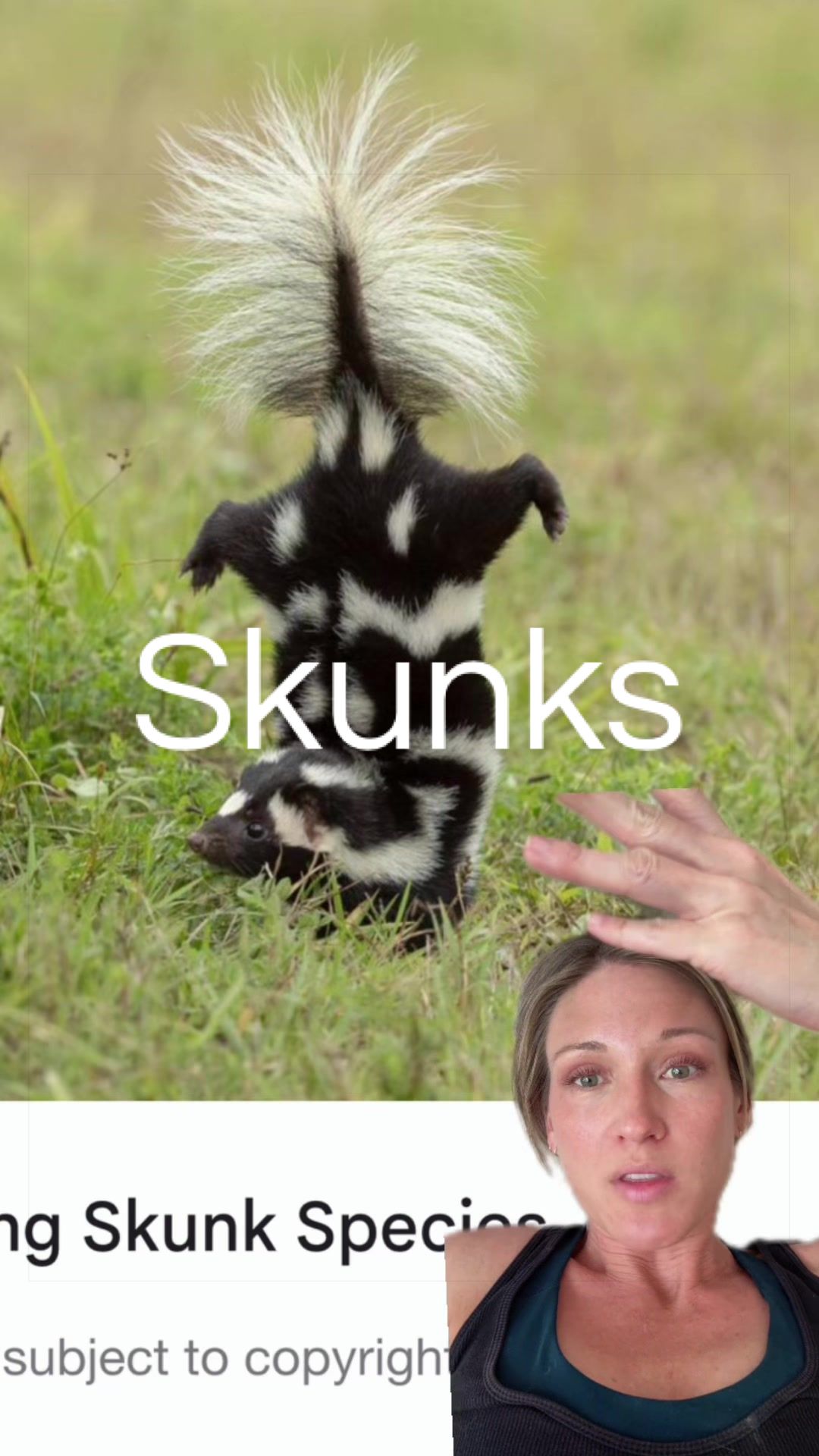 @SarahMakesMeLaugh