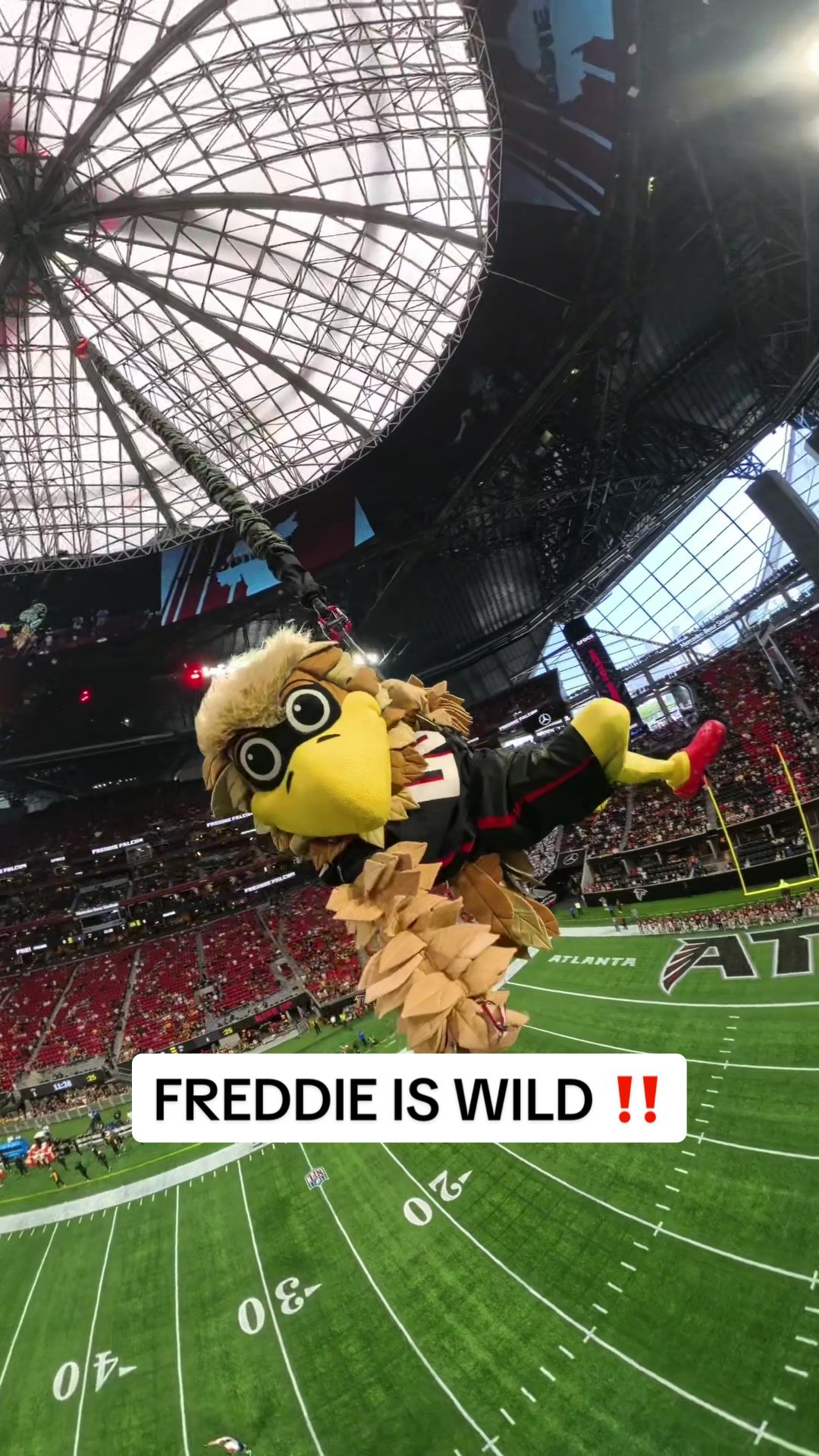@Atlanta Falcons