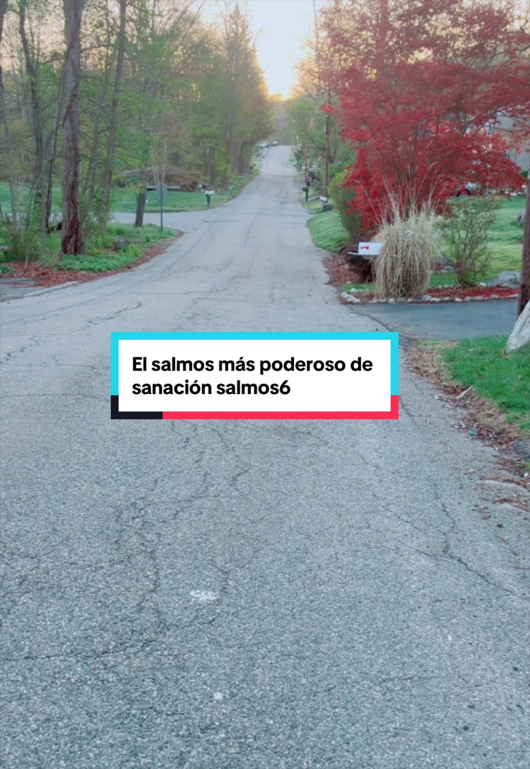 @JUDIT
