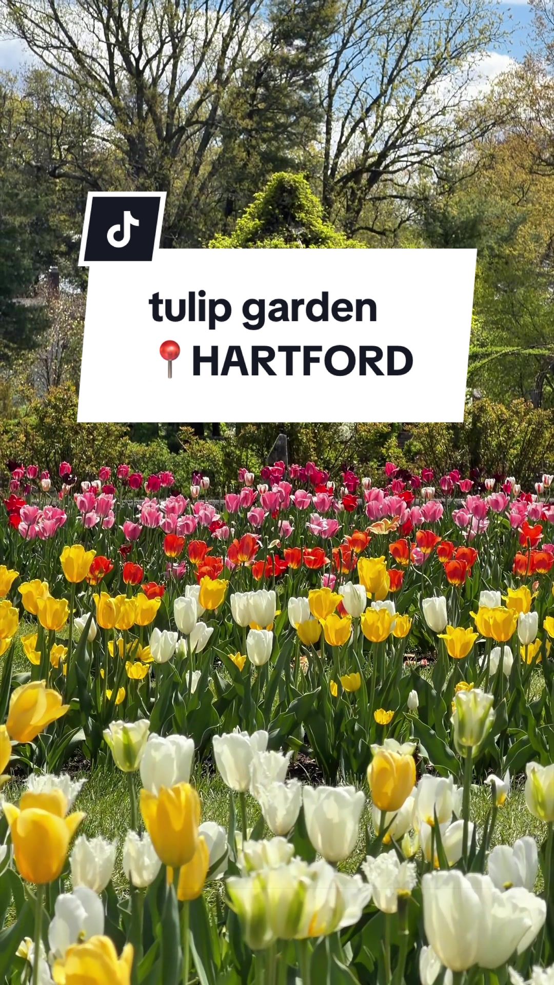 @Connecticut Bucket List