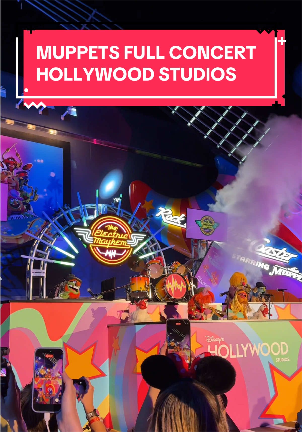 @LBV TV • Disney & Theme Parks