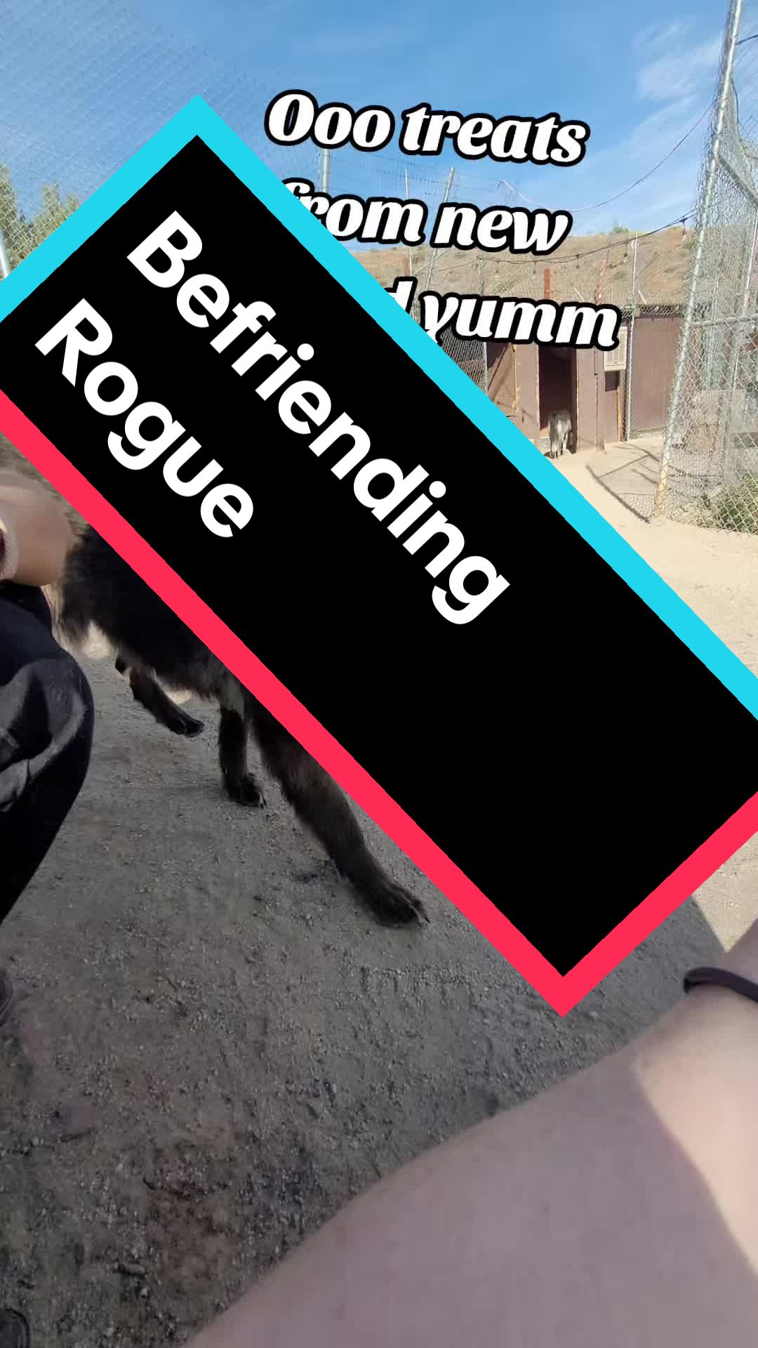 @Howling Ridge Co