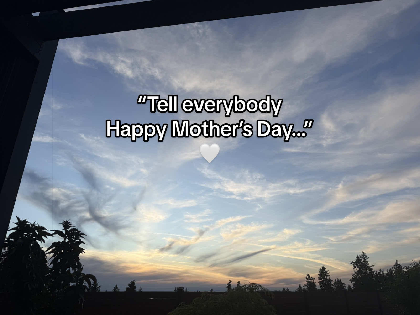 @allmyblooms